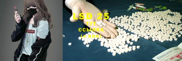 PSILOCYBIN Касимов