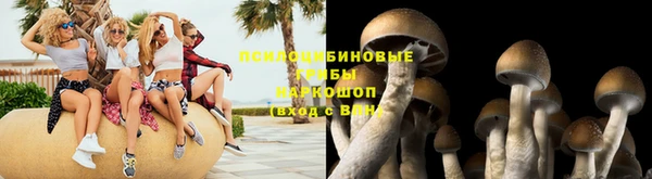 mix Карпинск