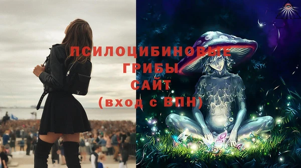 PSILOCYBIN Касимов
