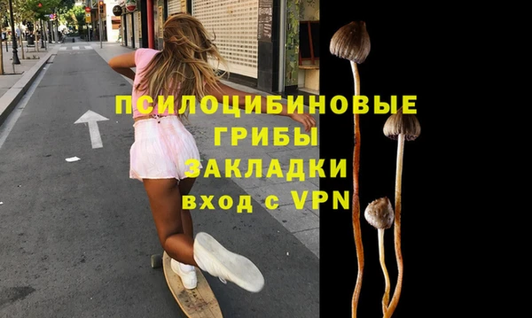 PSILOCYBIN Касимов
