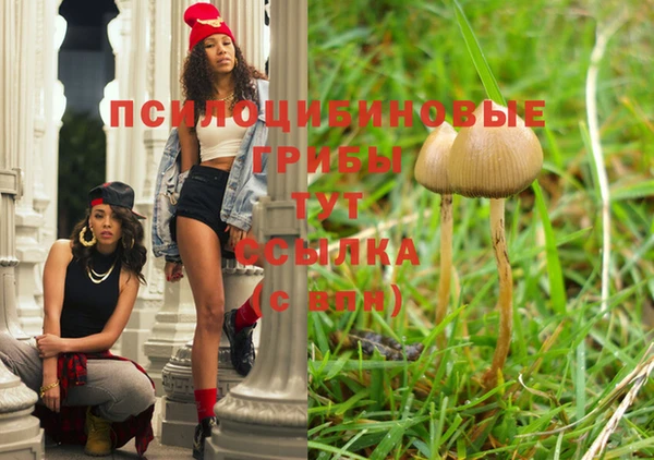 PSILOCYBIN Касимов