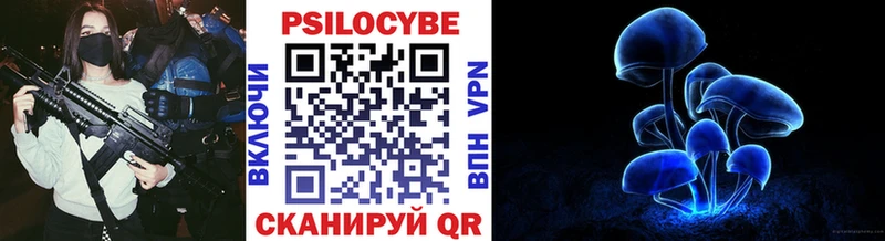 Купить закладки  Верхний Тагил  Галлюциногенные грибы мухоморы 